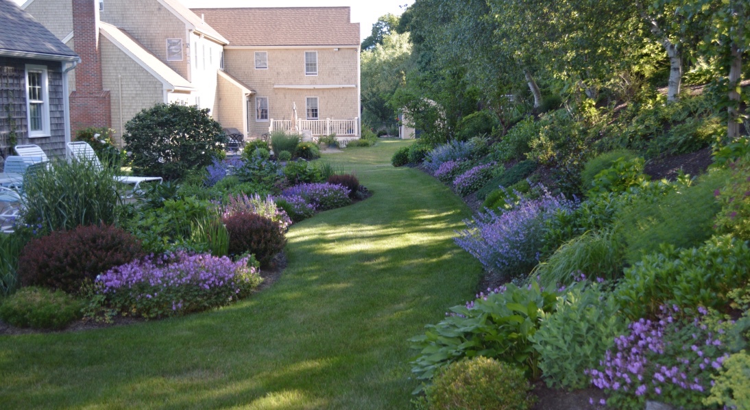 green lawn between beds of purple and pink flowers