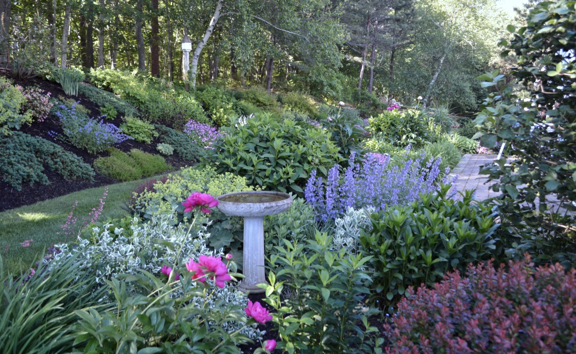 Garden around a birdbath