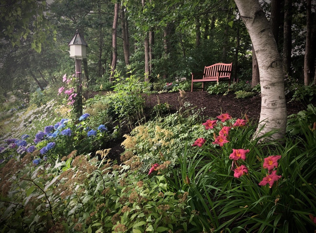 a shady garden with a bench in the background