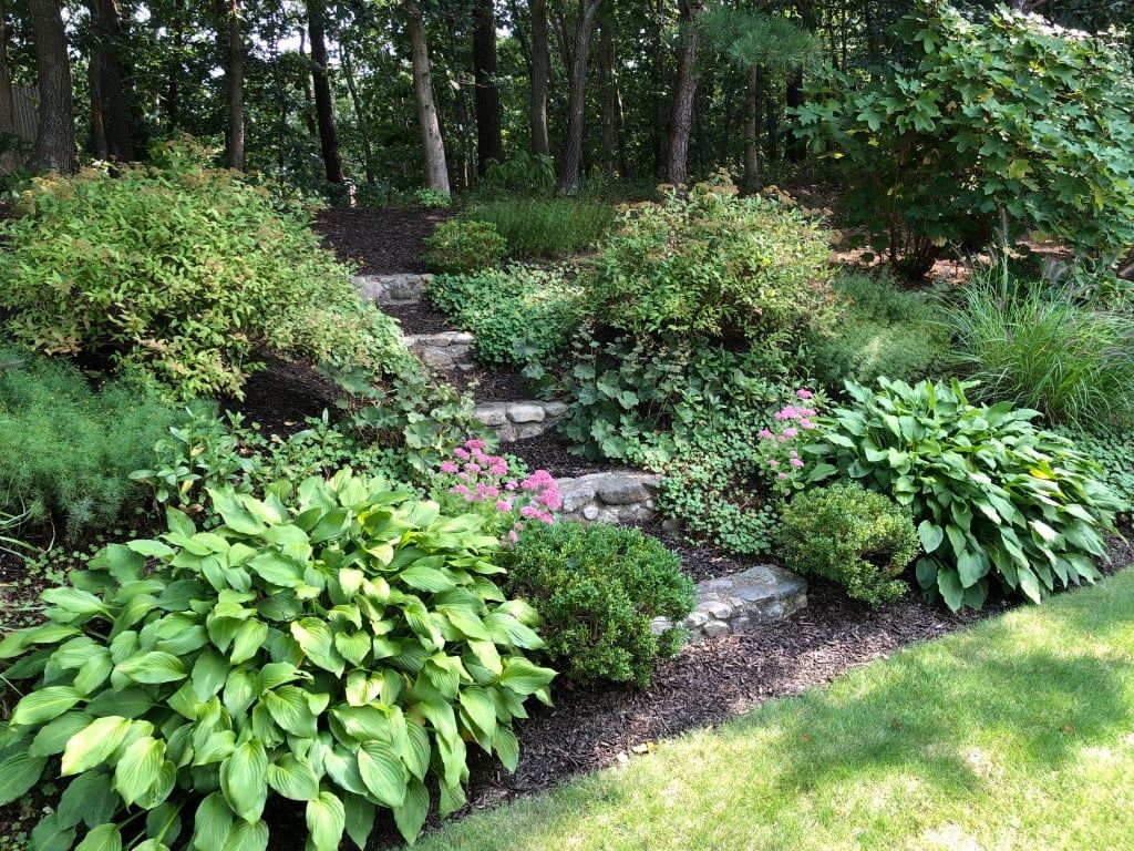 stone steps up a hill surrounded by perennials