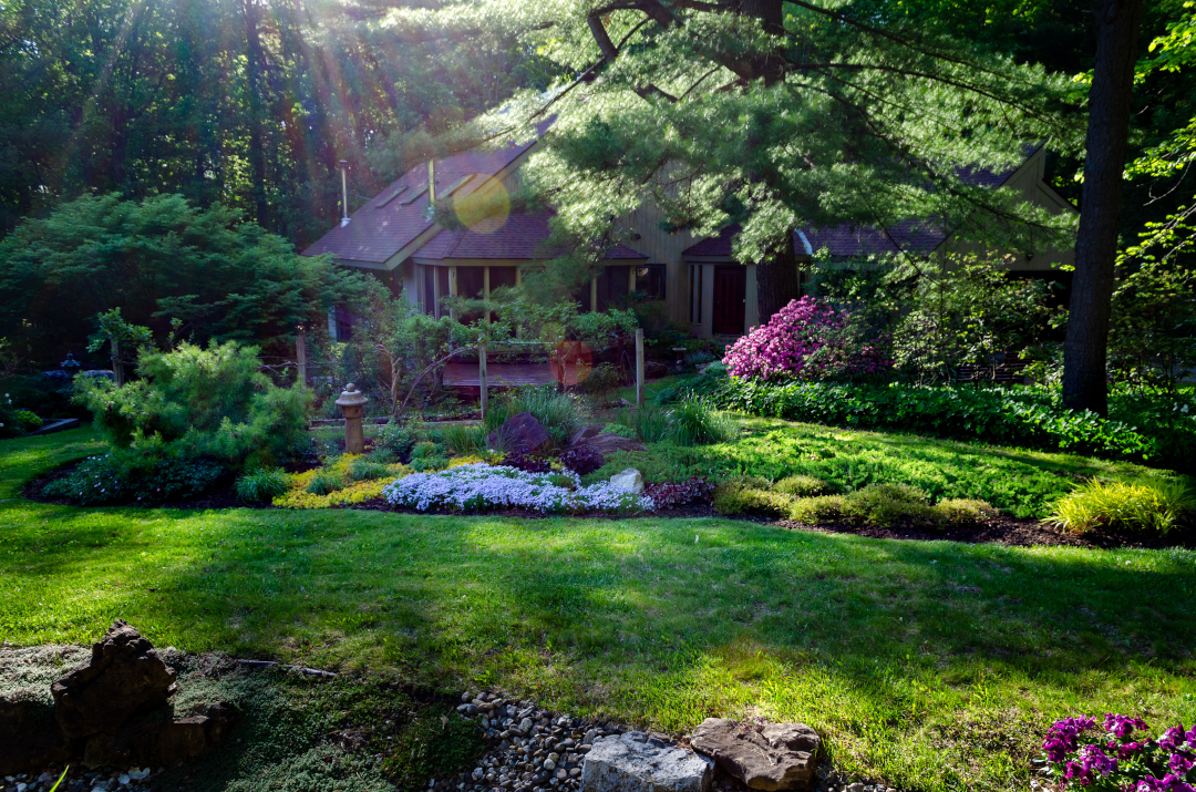 Sun shinning over a garden in front of a house