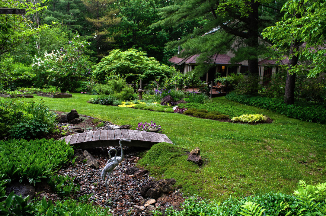 A lush garden with a house in the background