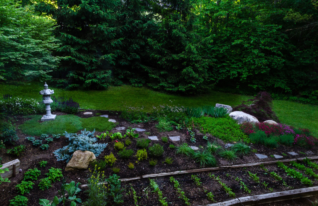 garden bed with rows of vegetables behind it