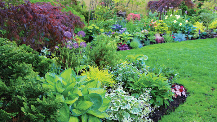 colorful shade garden