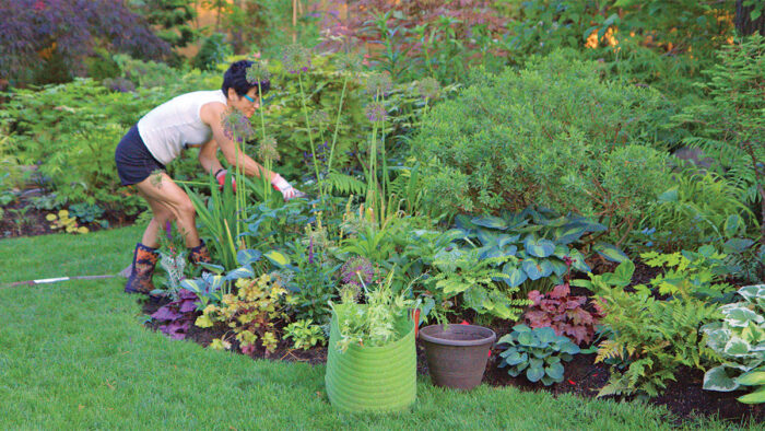 plants for partial shade