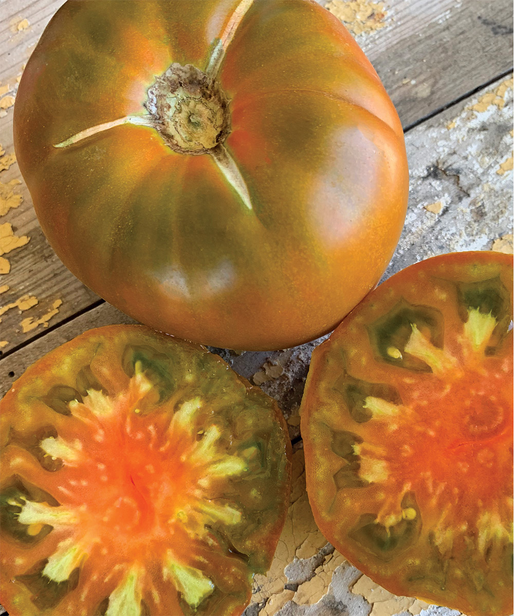 Love Apple Farm's Tomato Variety Photo Album: All colors of beefsteak  tomatoes