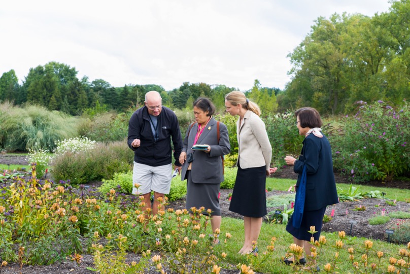 people evaluating plants in trial garden