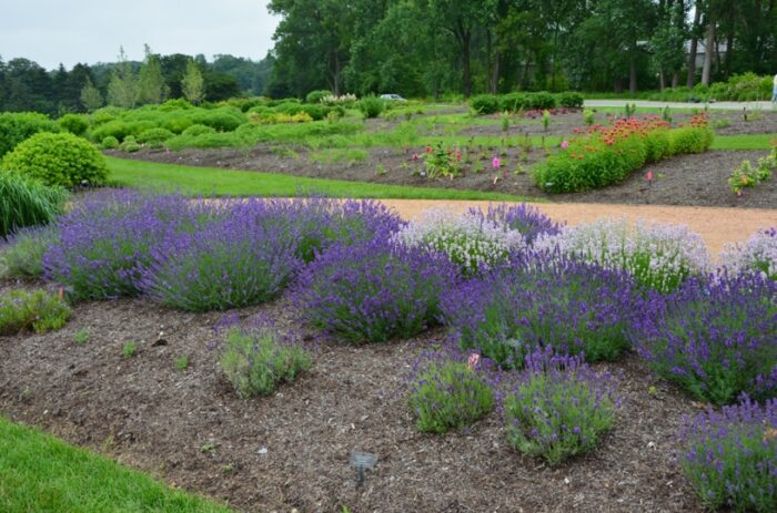 Chicago Botanic Garden Trial Gardens - Fine Gardening