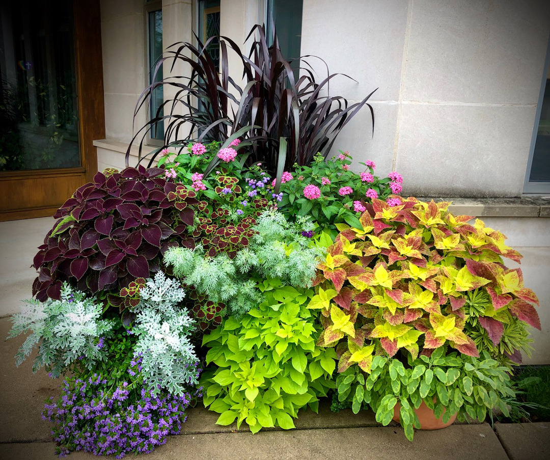 mass container plantings