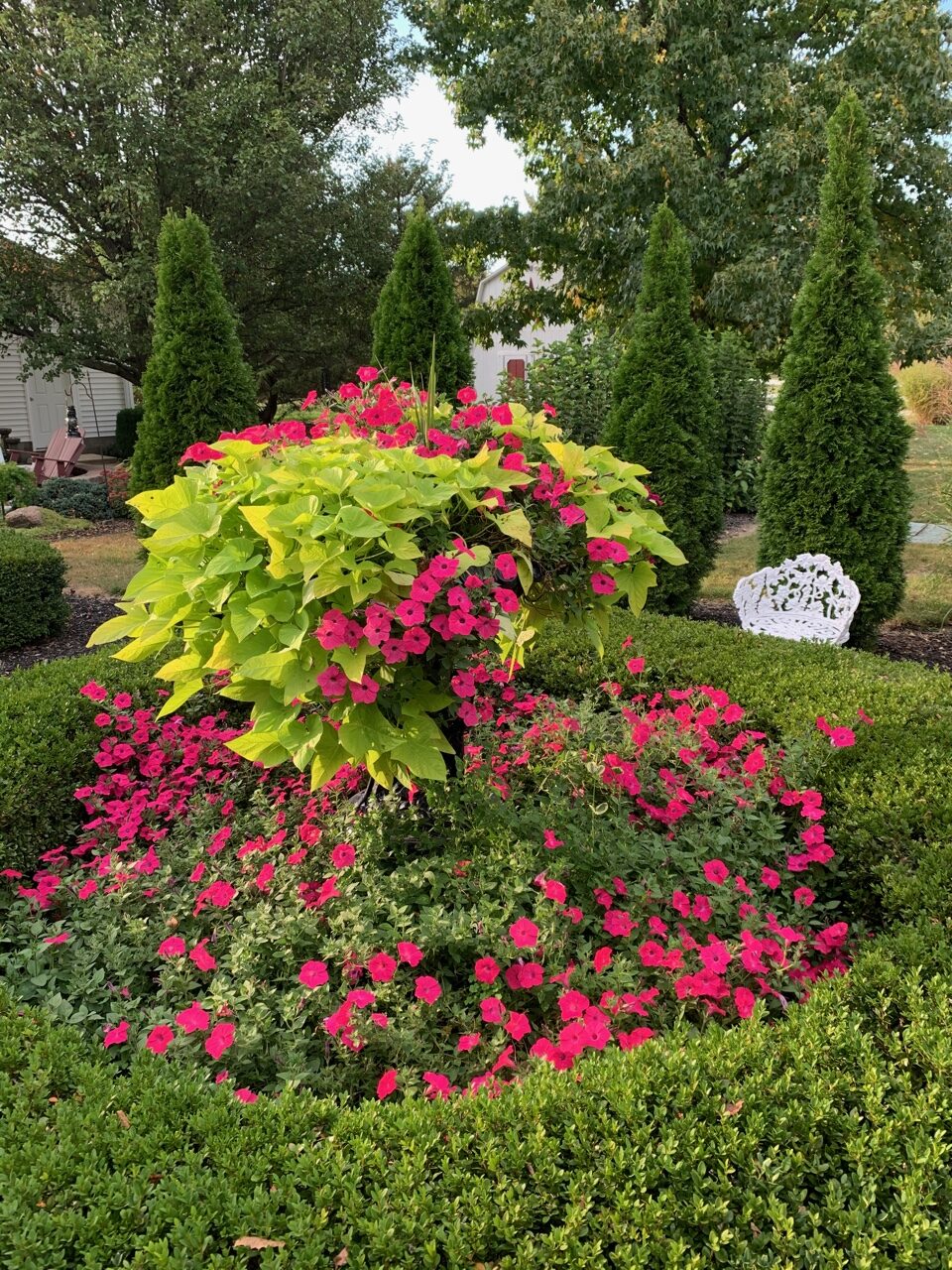 large pedestal planter