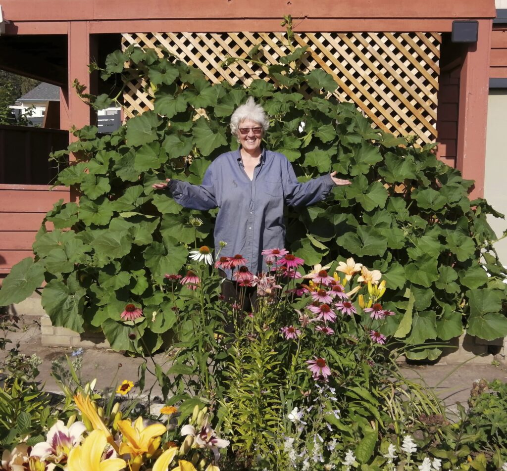 squash grown vertically