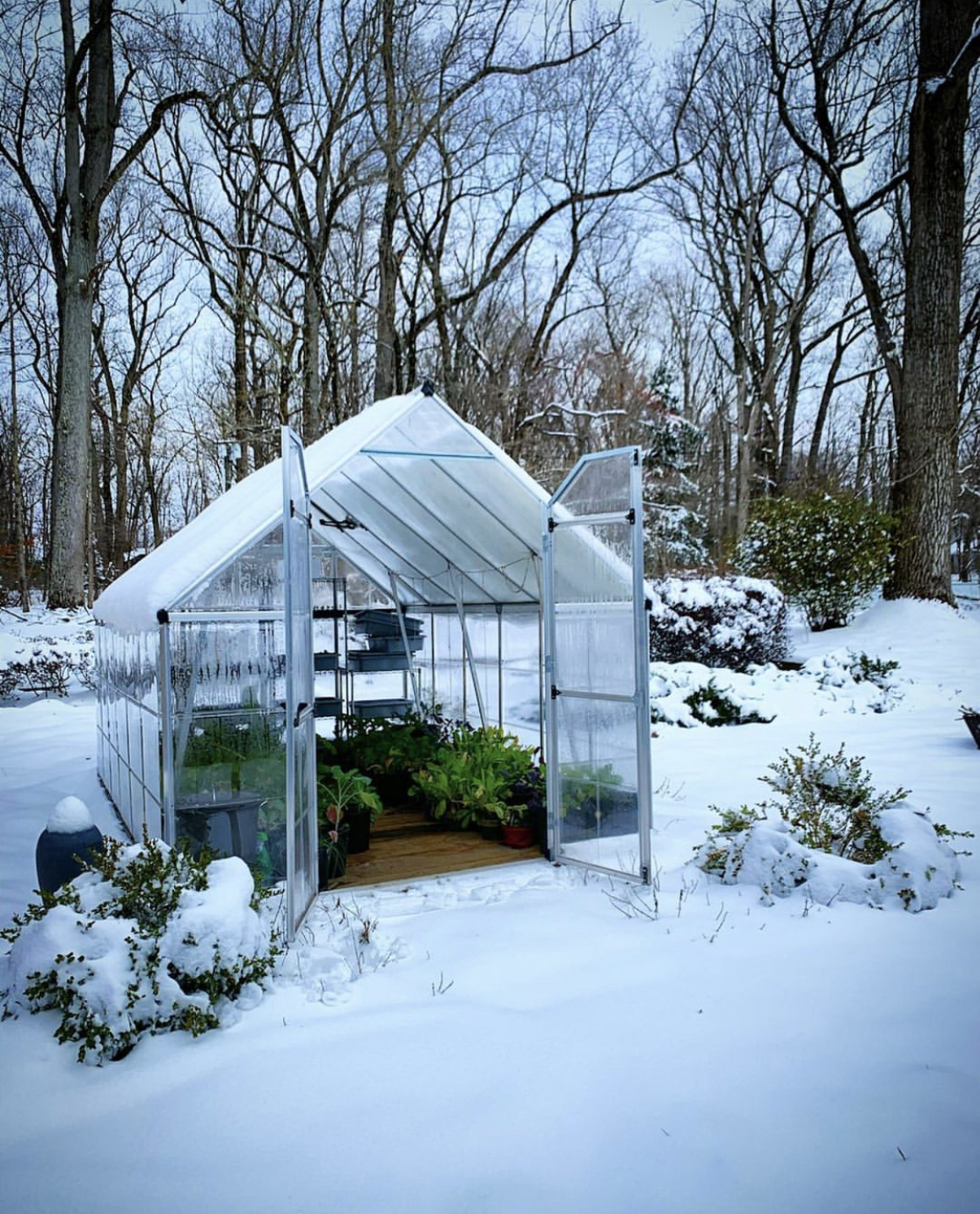 A small greenhouse in a snowy landscape