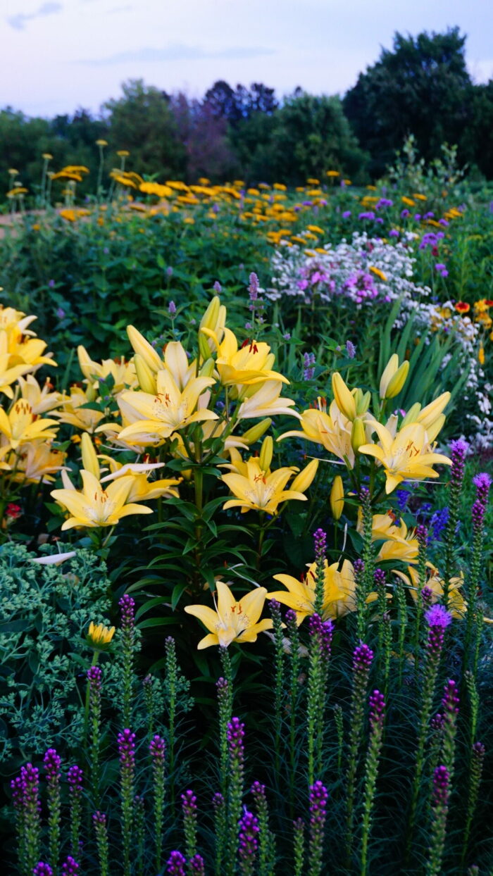 Hannah's Flower Garden