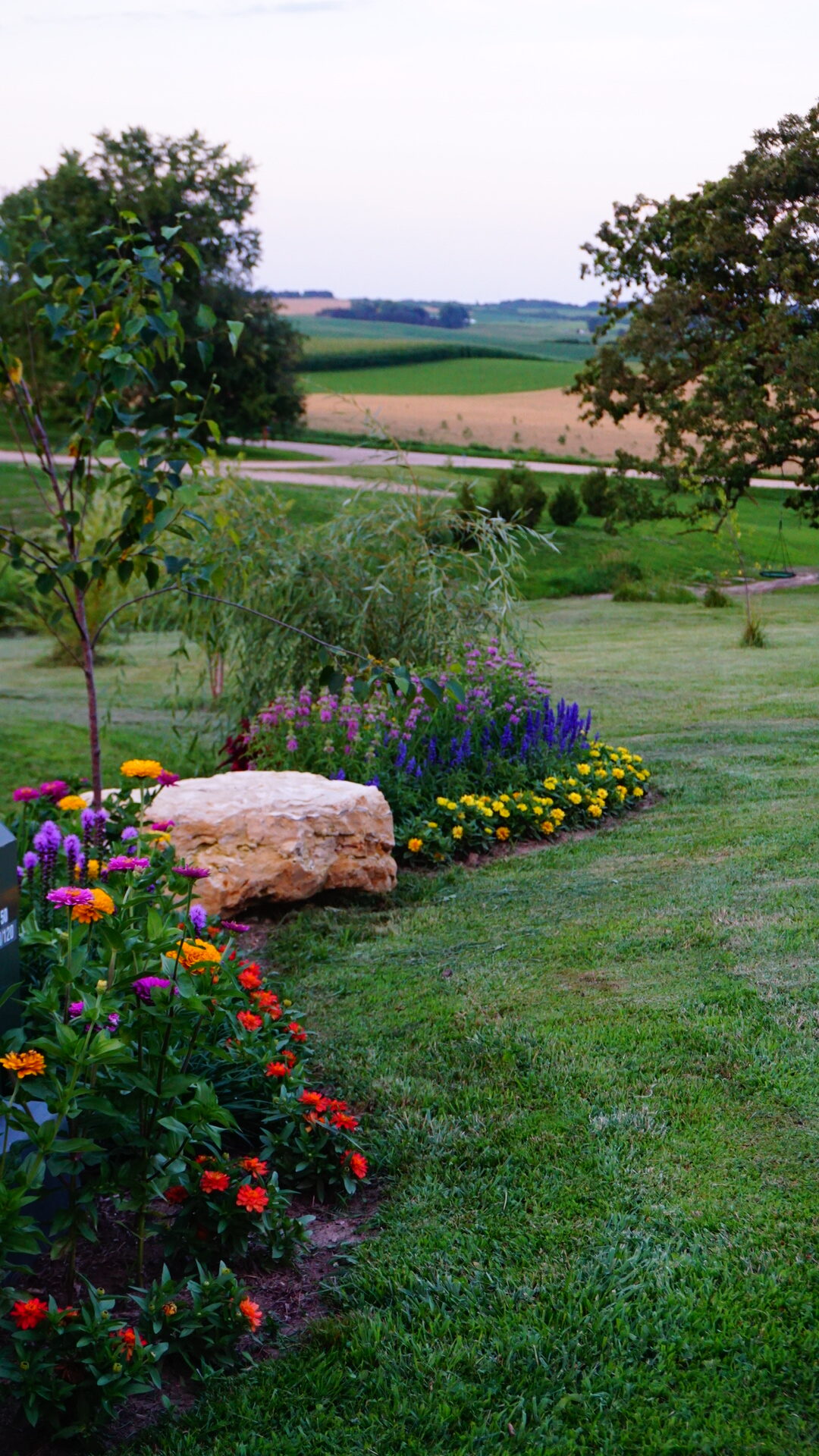 garden with farm in the background