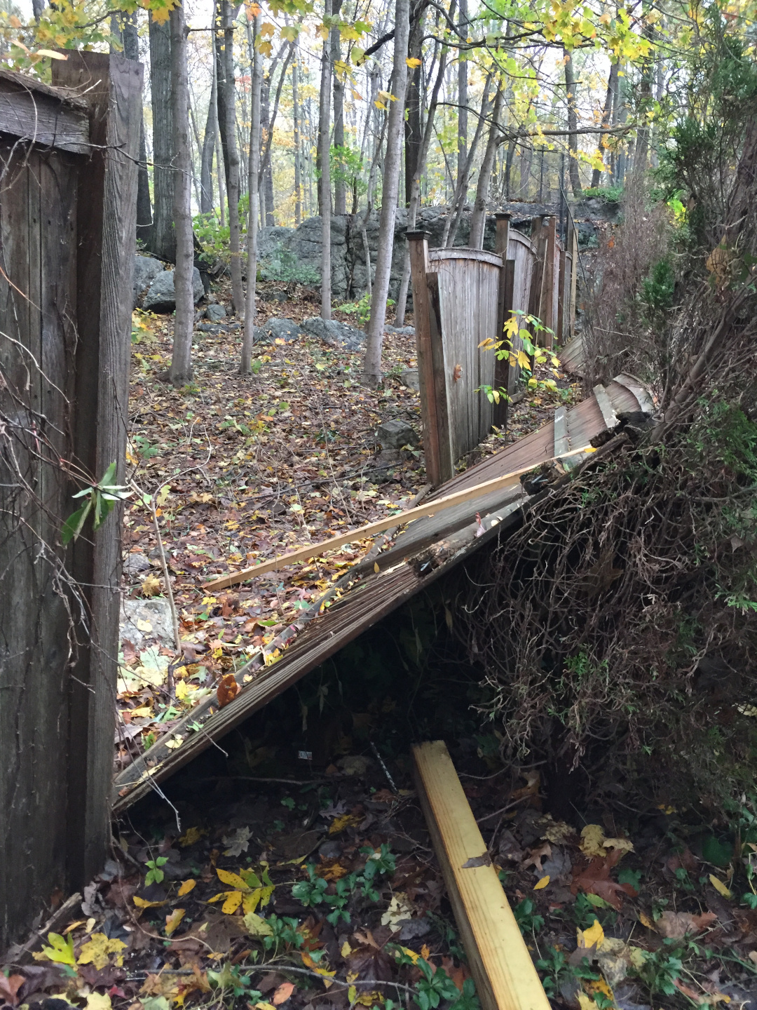 fence panel down