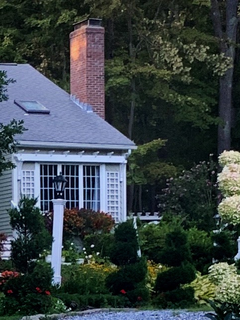 front yard garden with lots of plants