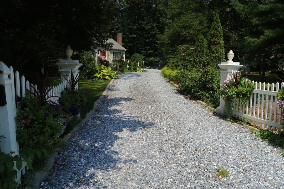 driveway lined with plants