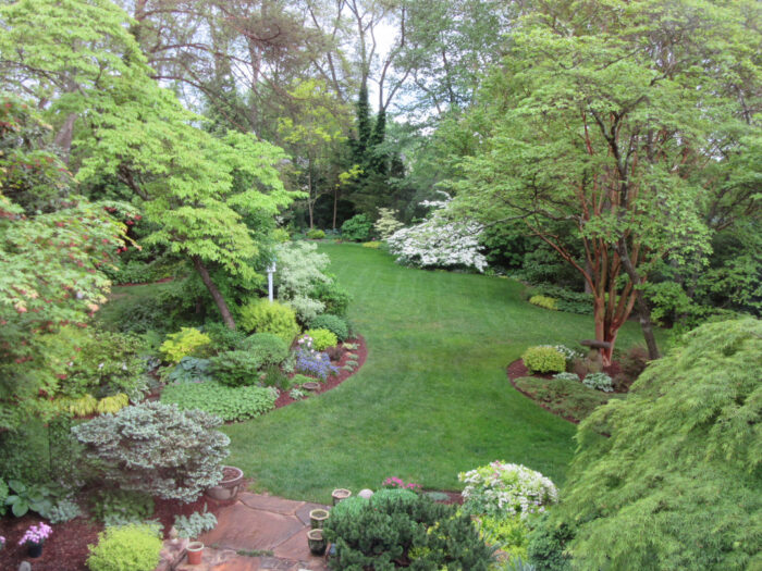 garden with lots of trees in spring