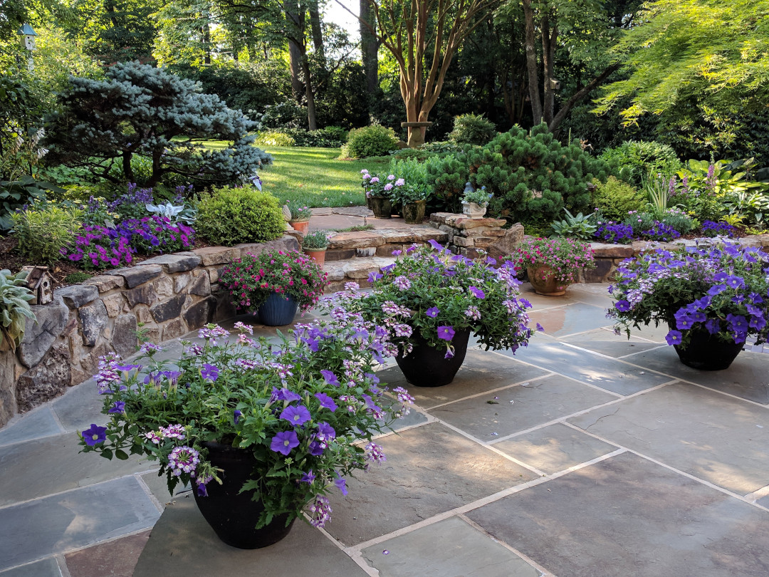 potted plants on a patio