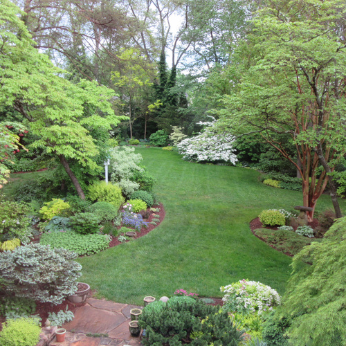 Sally's Maryland Garden - Fine Gardening