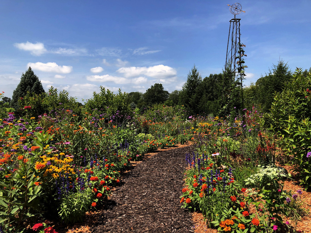 colorful pollinator garden