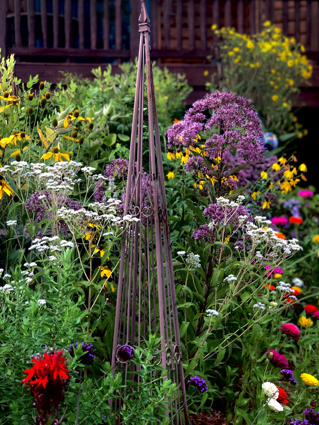 native perennials mixed with annuals