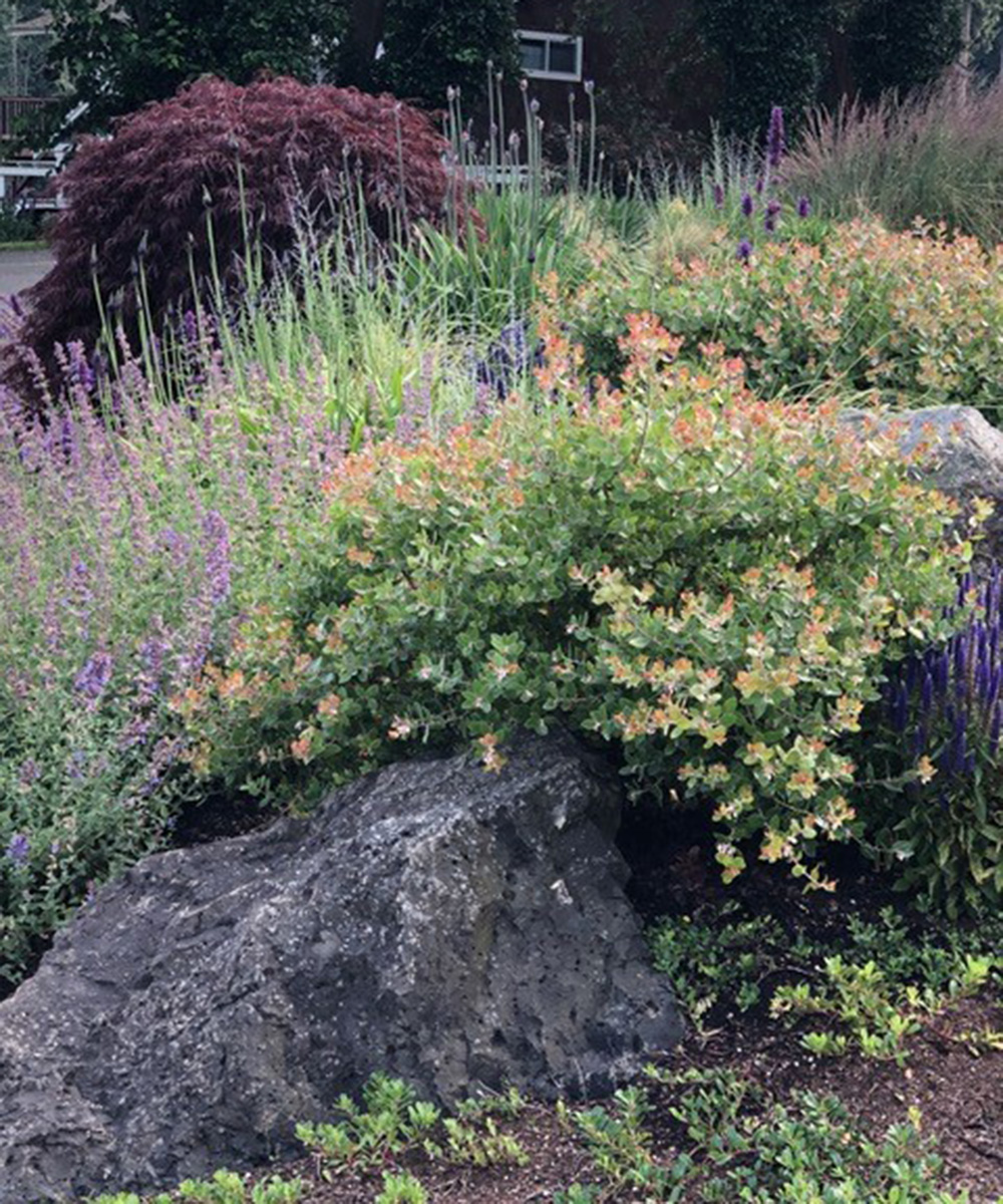 firewise garden bed