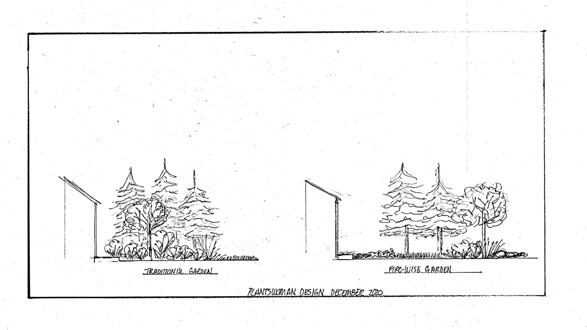 firewise vs traditional planting