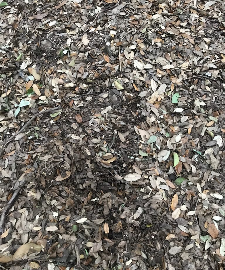 How to Make Great Compost in the Southern Plains - Fine Gardening