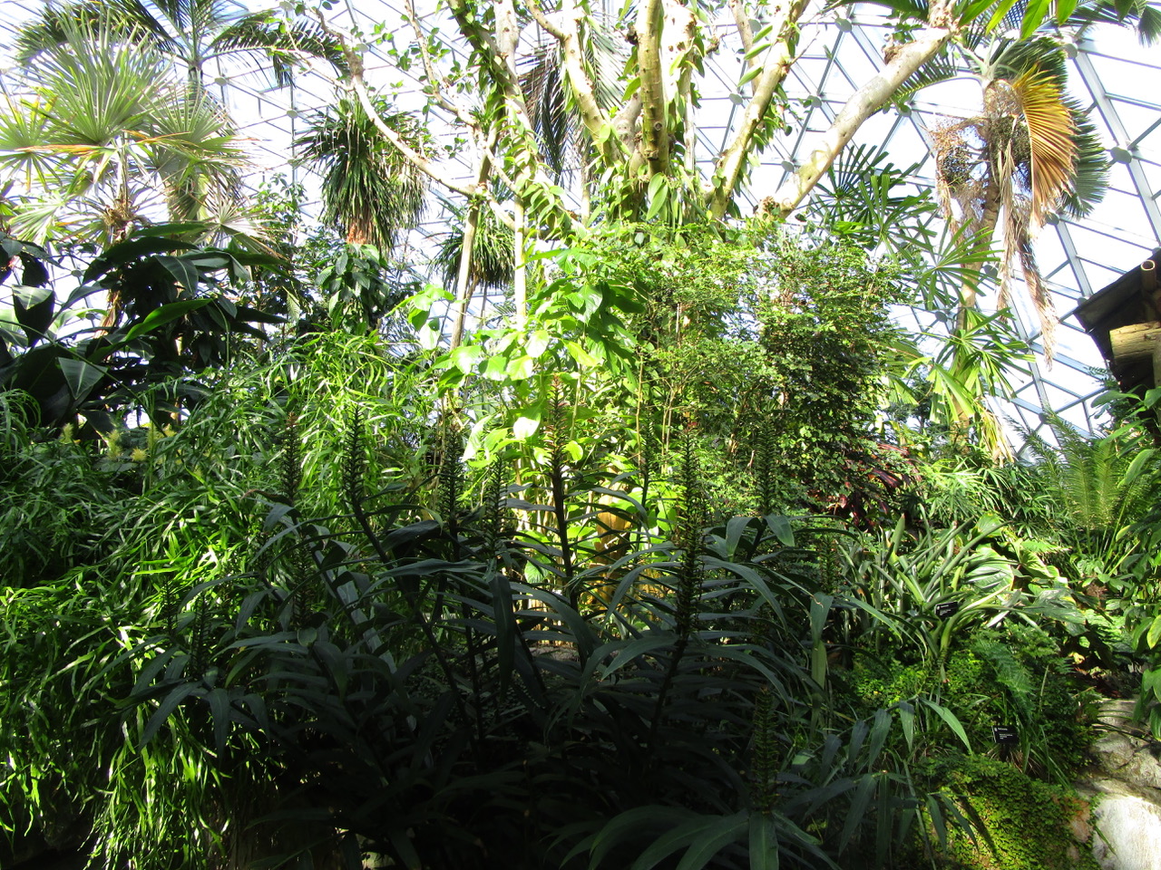 Climatron at Missouri Botanical Garden