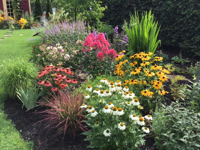 Perennial garden filled with flowers