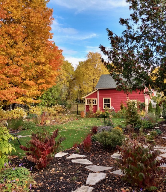 Trees turning autumn colors around a red barn