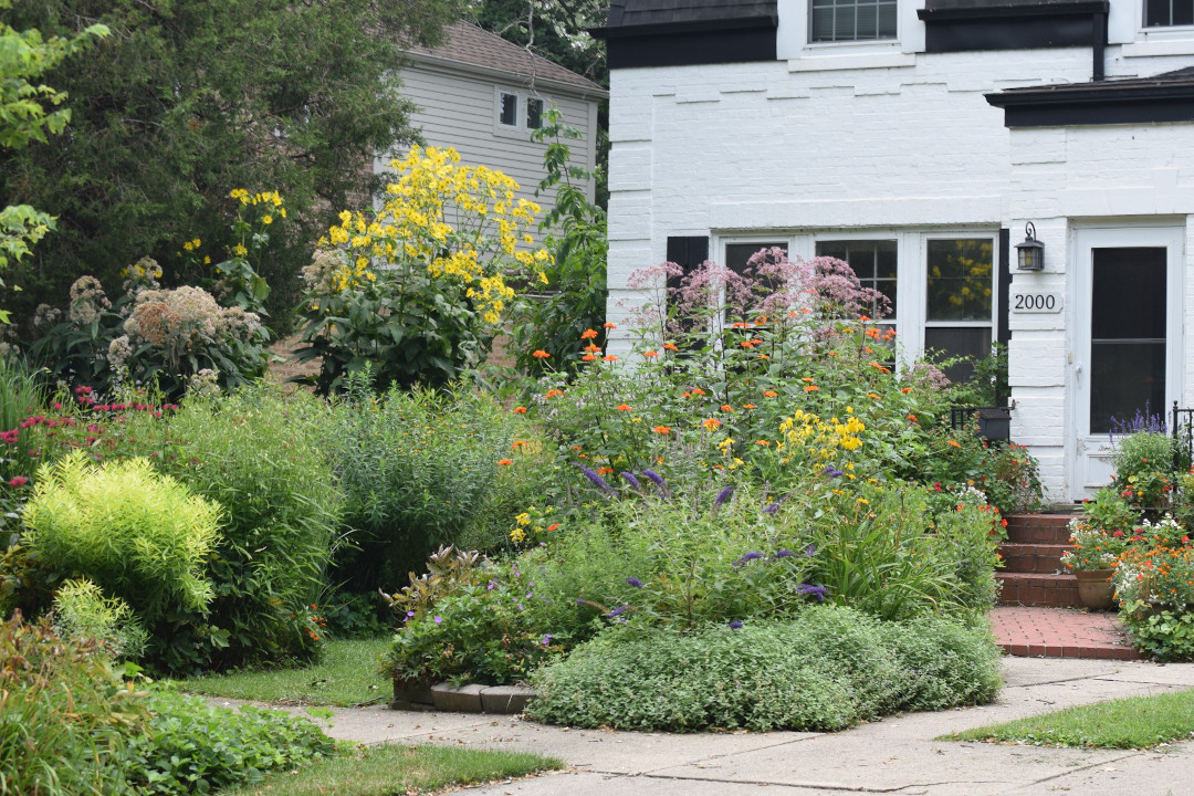 front yard garden in summertime