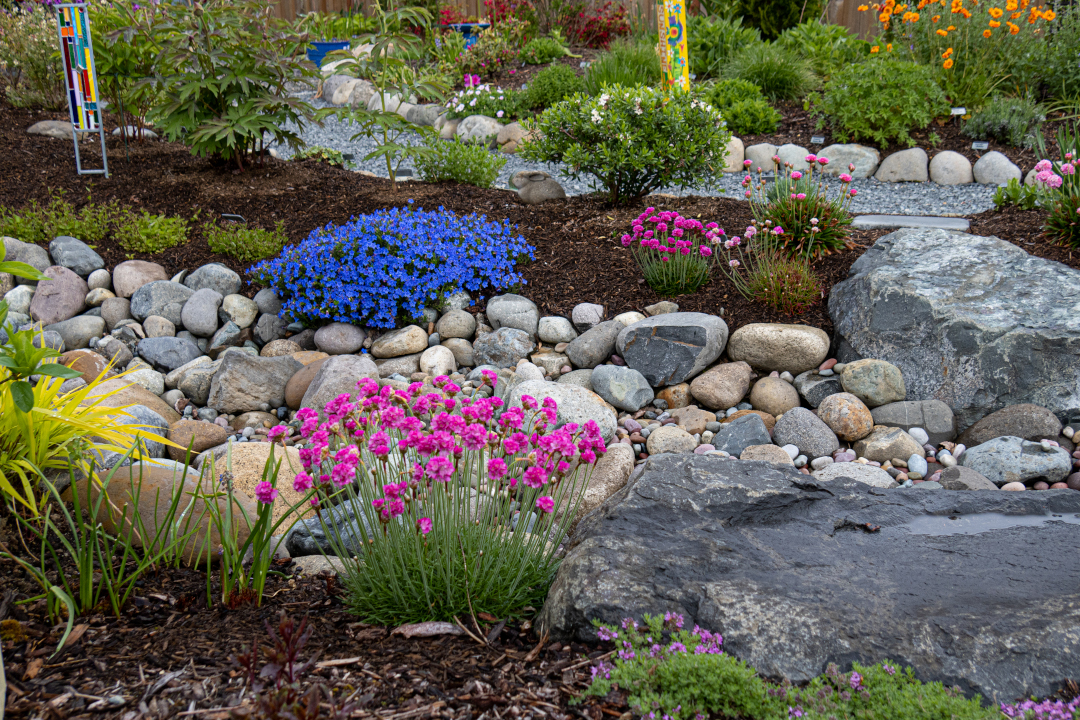 Low-growing flowers around a dry stone stream bed