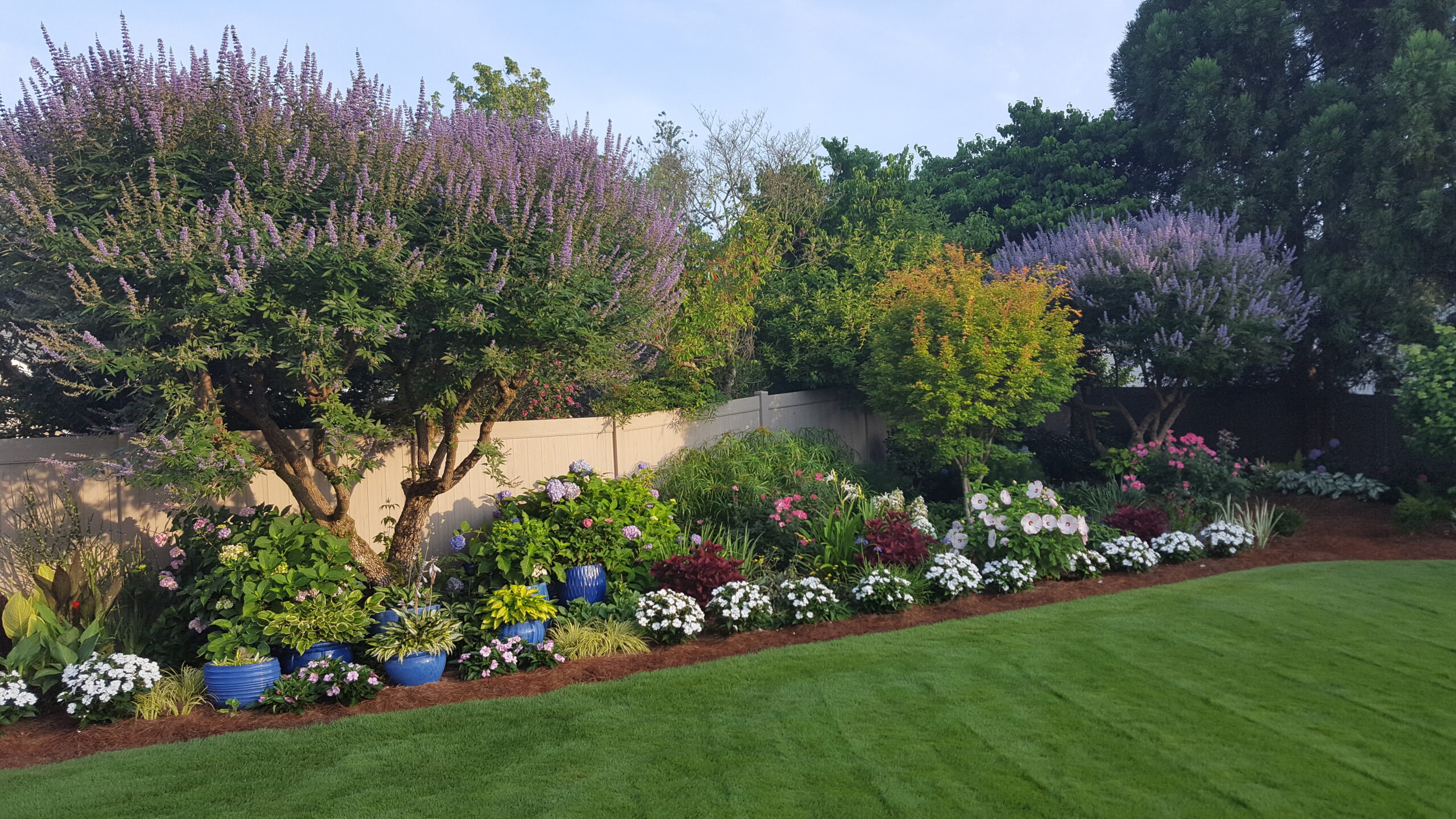 garden bed at its summer peak