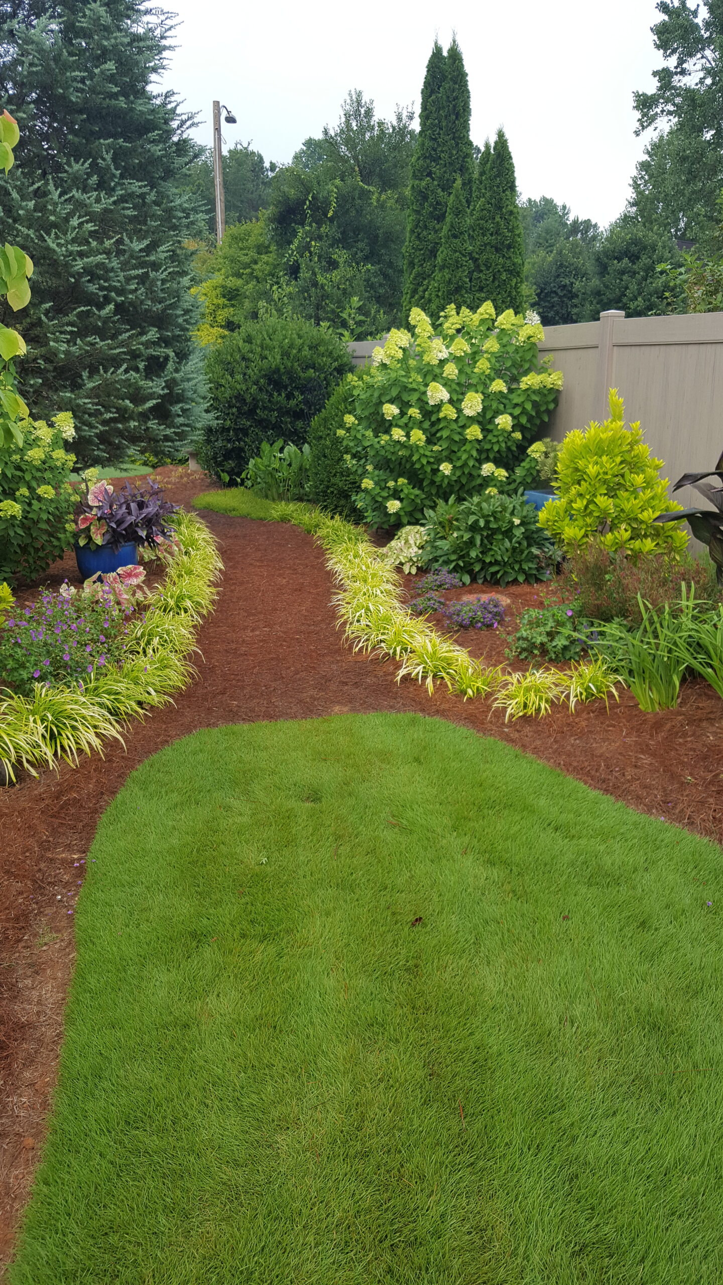 A garden path lined with yellow grasses