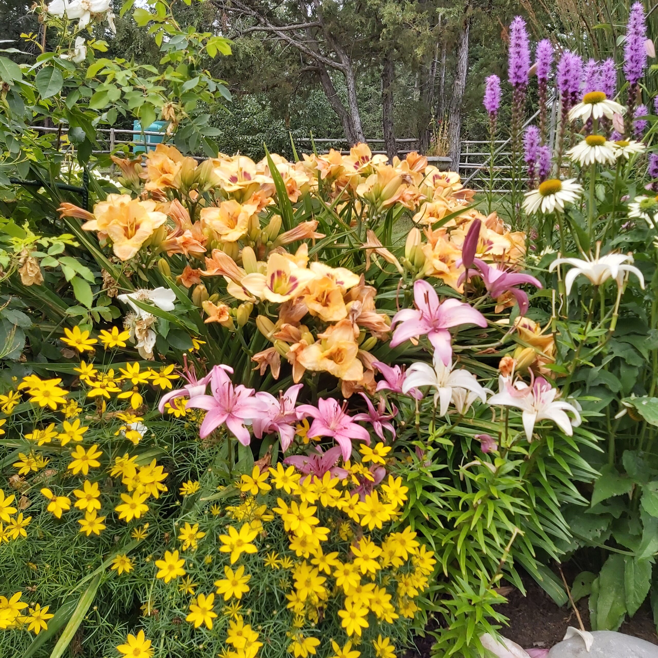  flower-filled garden bed