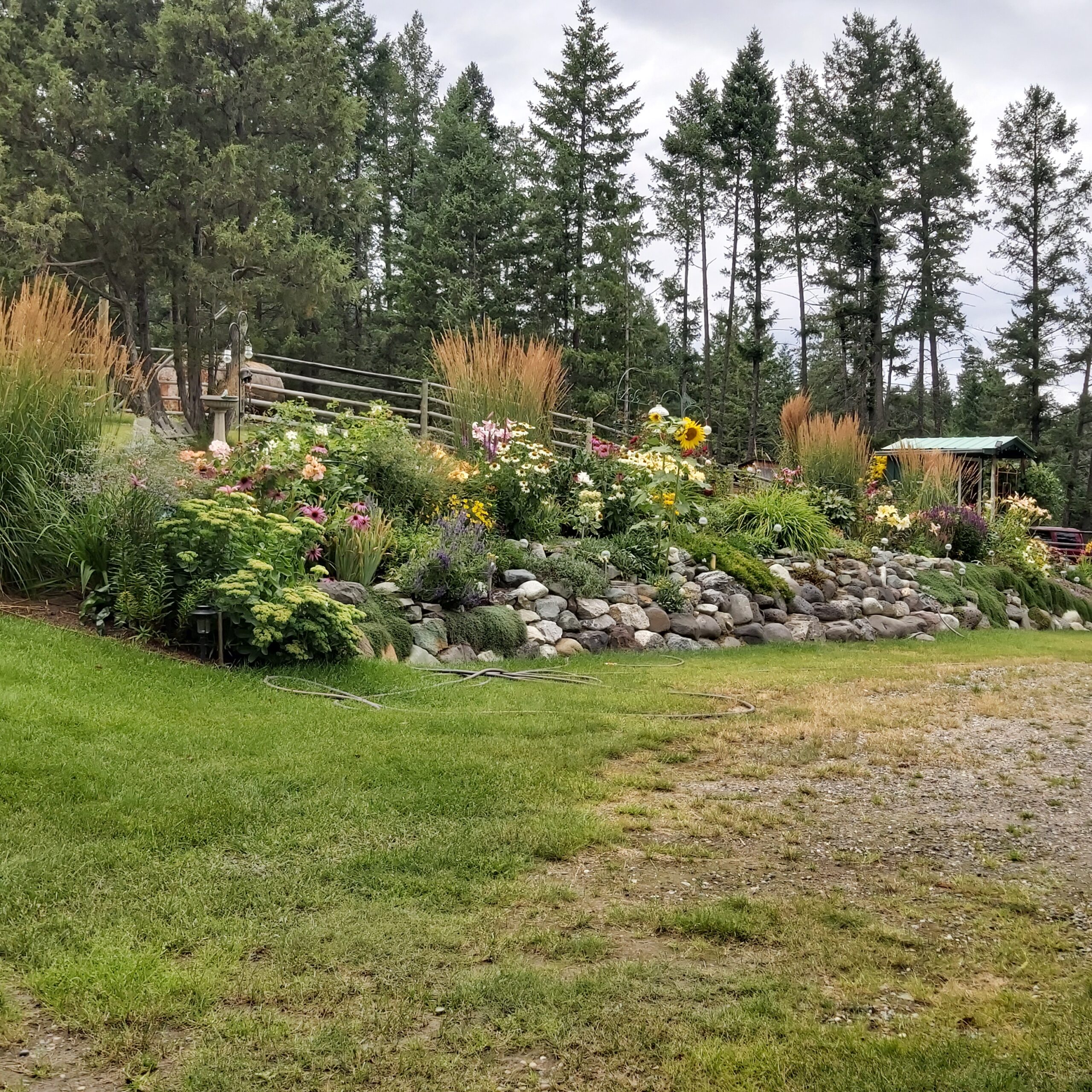 A garden bed on a hillside