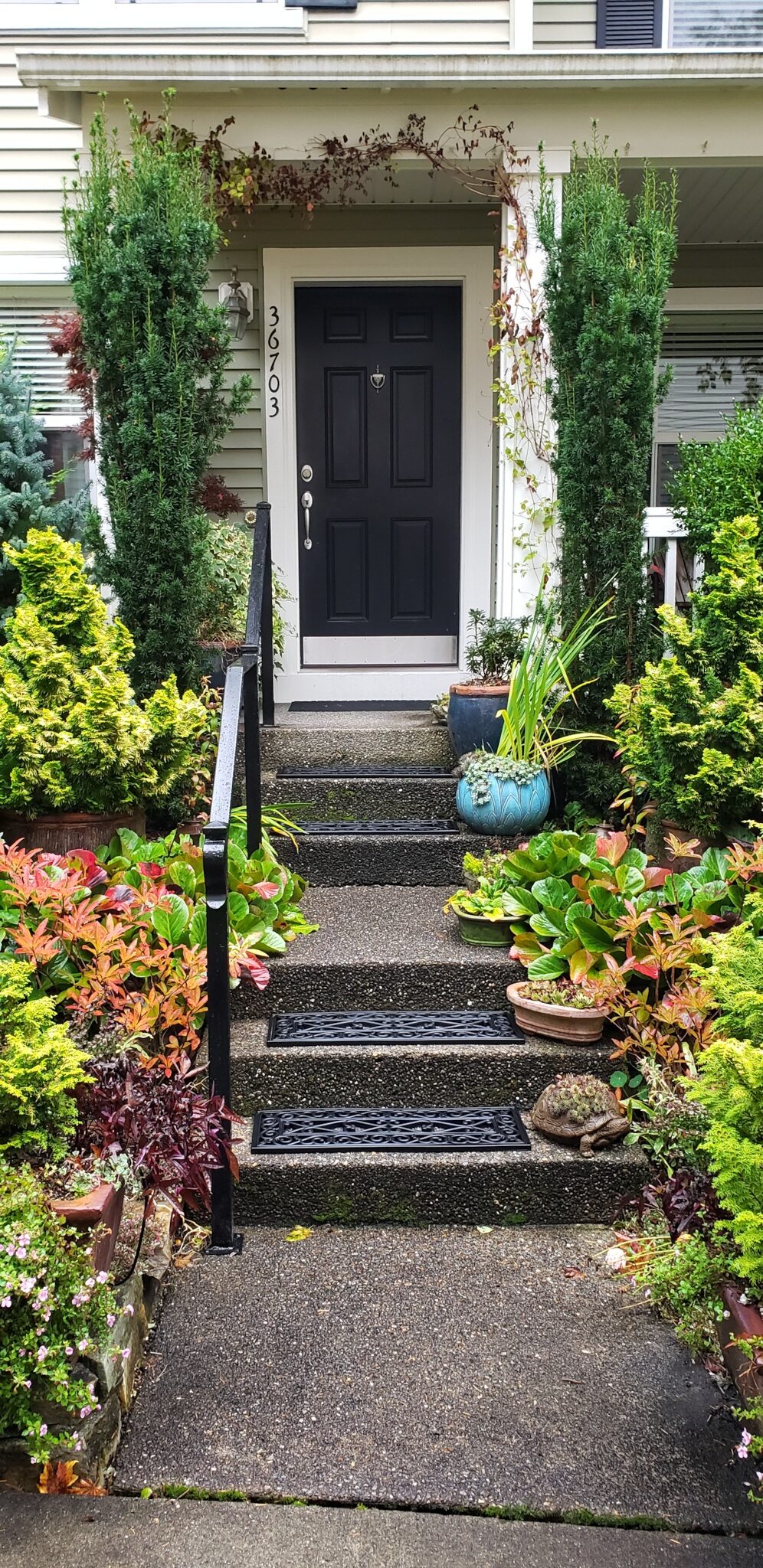 steps to a front door lined with plants