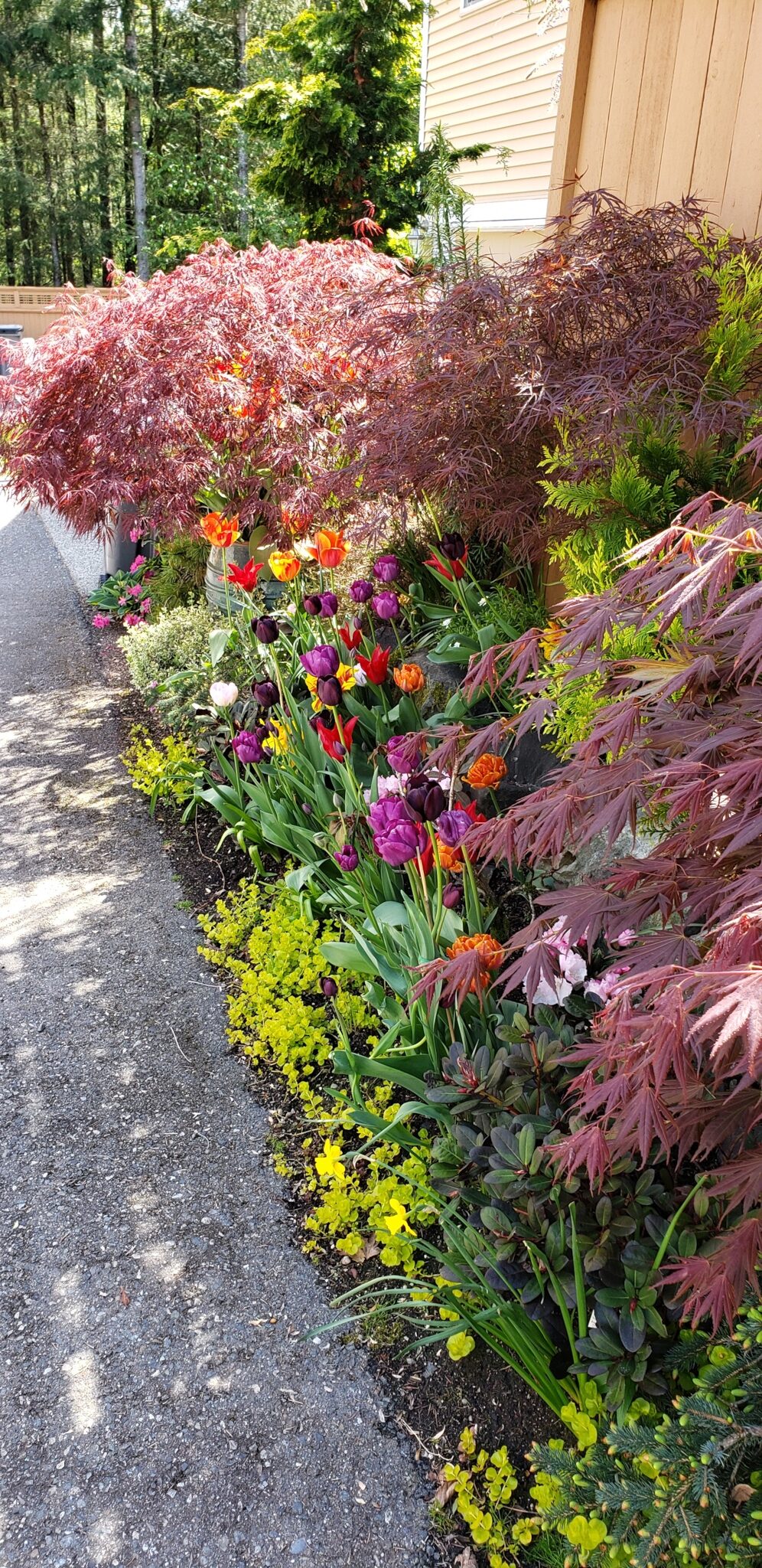 alleyway filled with plants