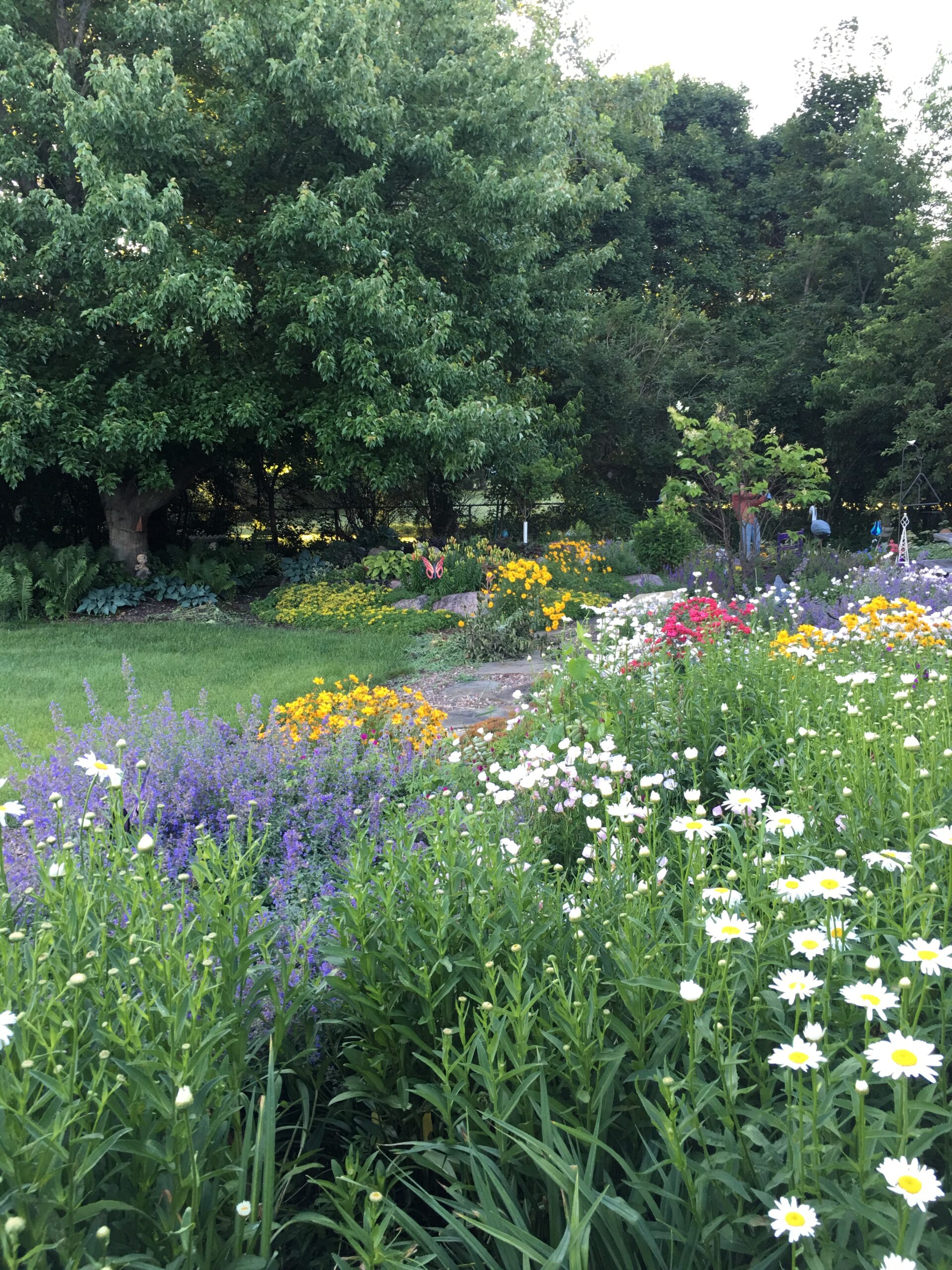 garden bed full of blooming perennials