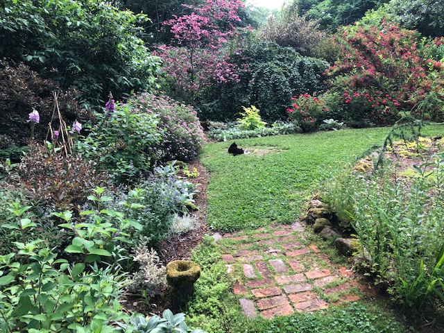 View of a path leading into a lawn surrounded by flowering shrubs