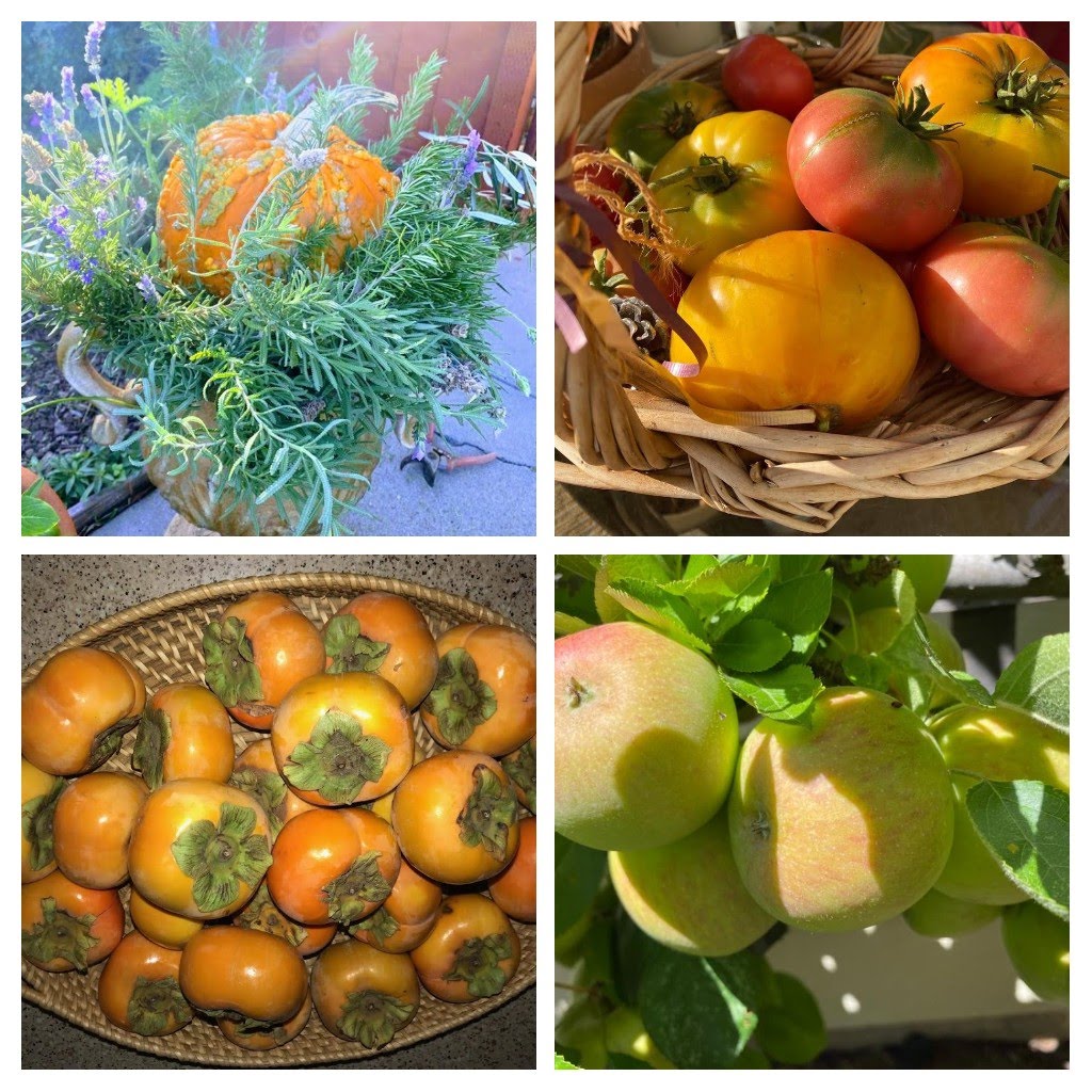 Collage of various fresh fruits and vegetables