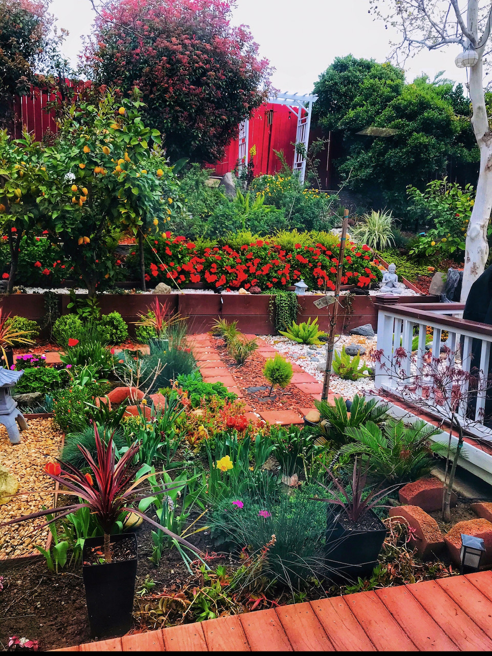 lush garden in northern california