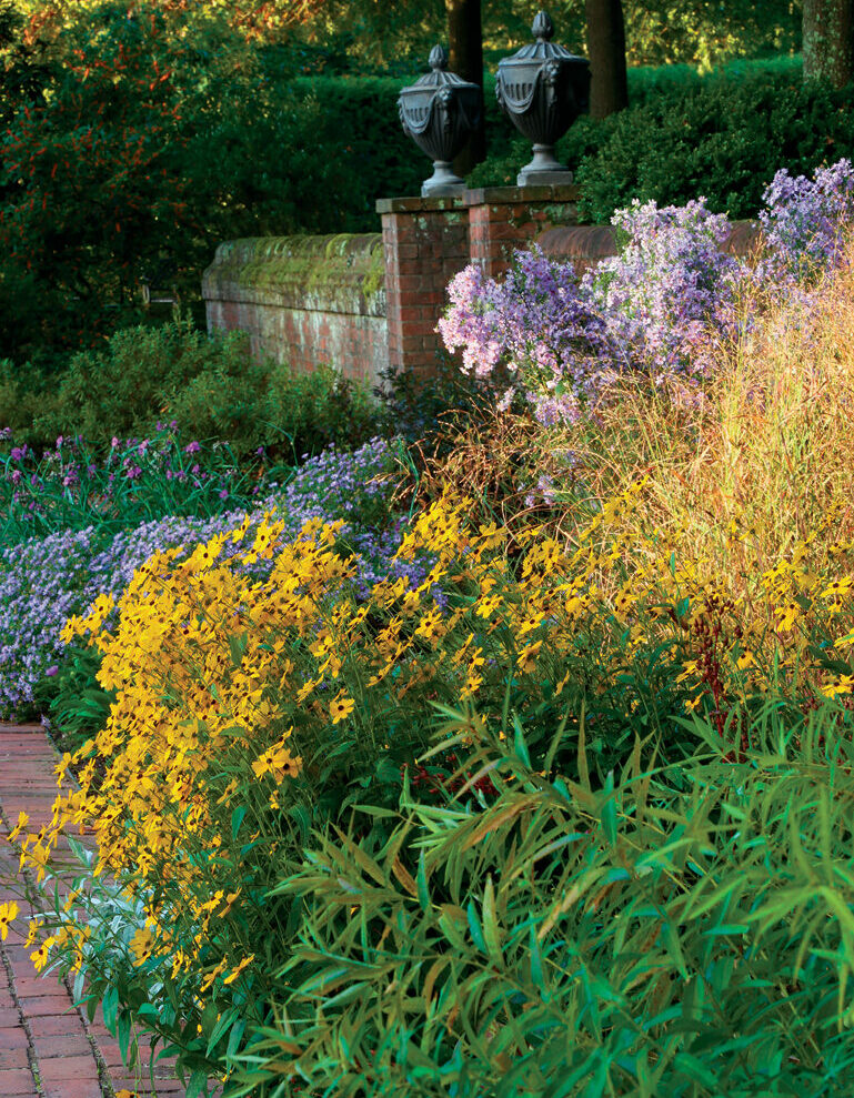 Summer Sunshine coreopsis is a fall bloomer