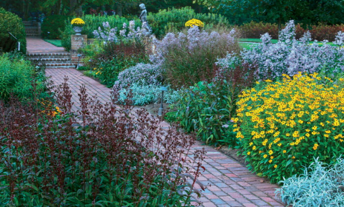 Native plants for fall color