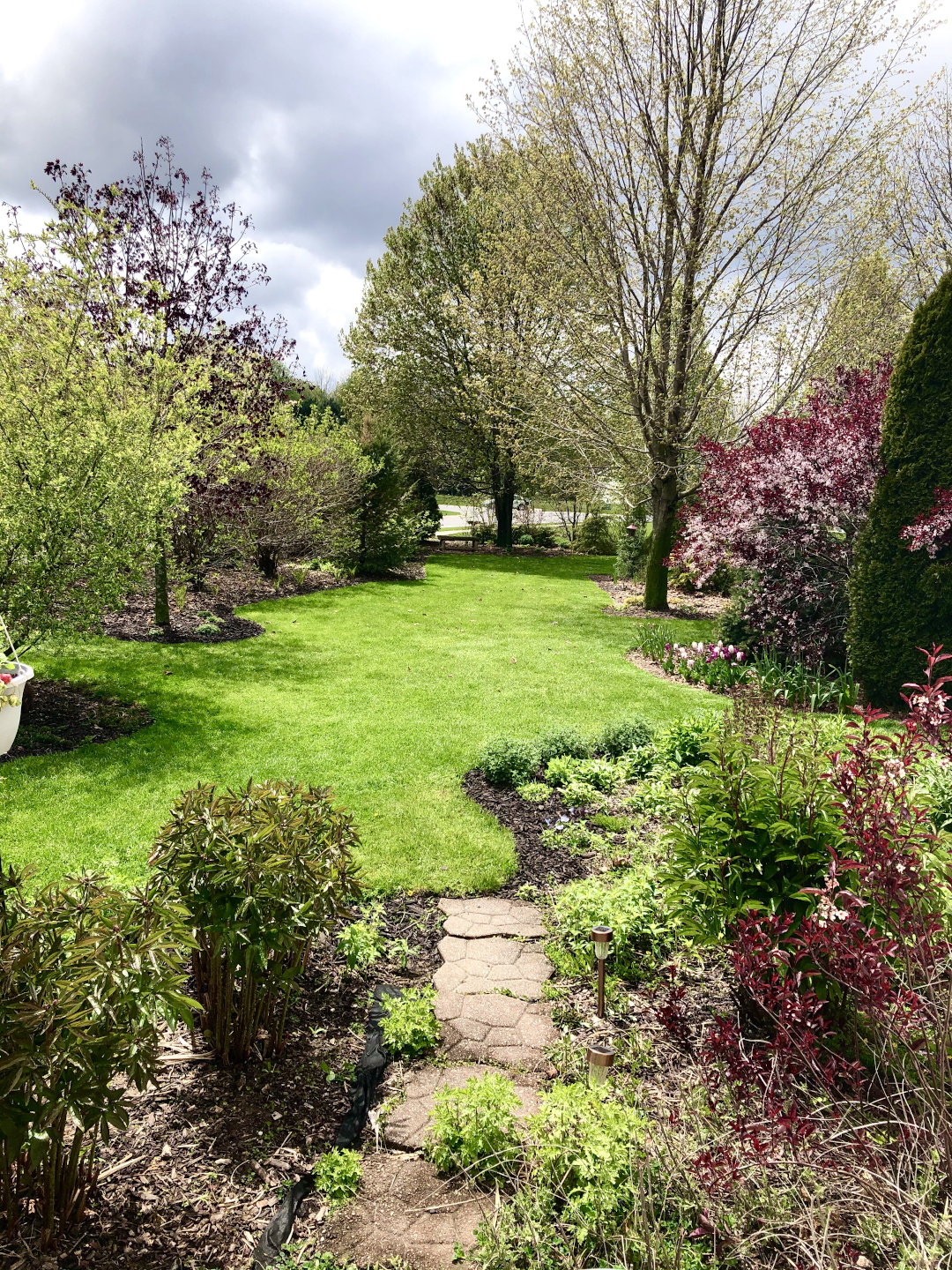 spring garden with lots of blooming trees and shrubs