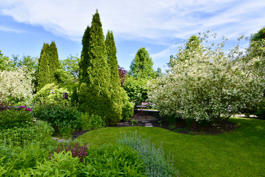 garden seating area hidden by plants