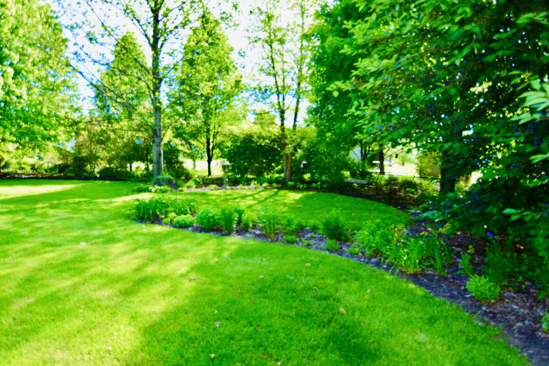 bright clean lawn with shady garden beds