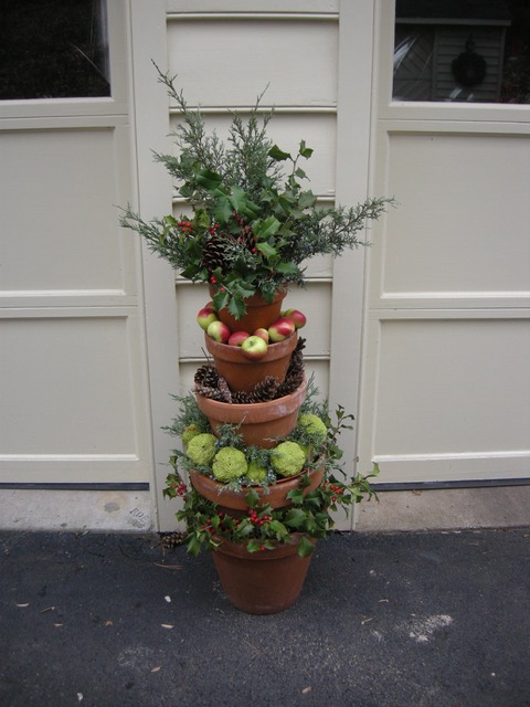 winter garden container display